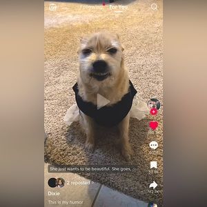 HELLO👋 Read👇!!!!!!